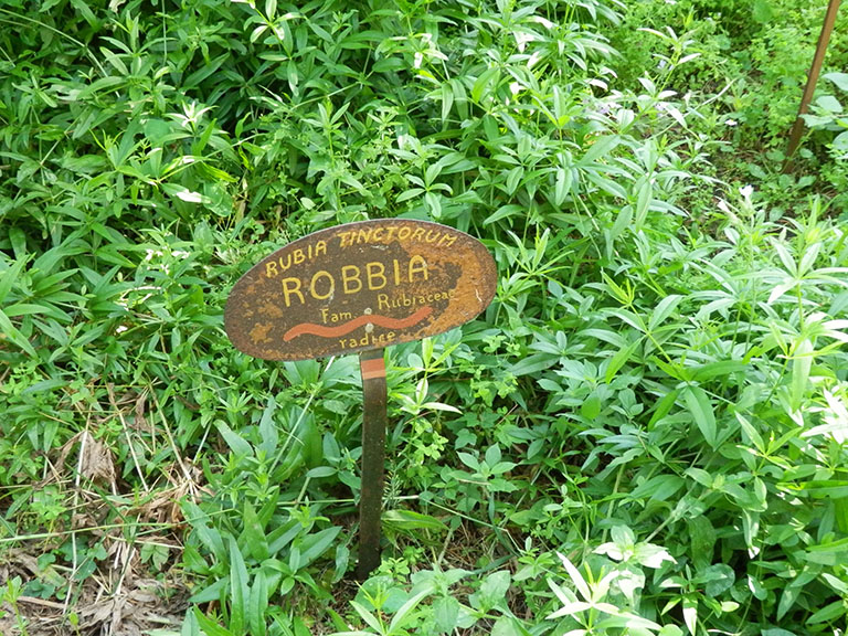 Giardino_Nova_Arbora_042